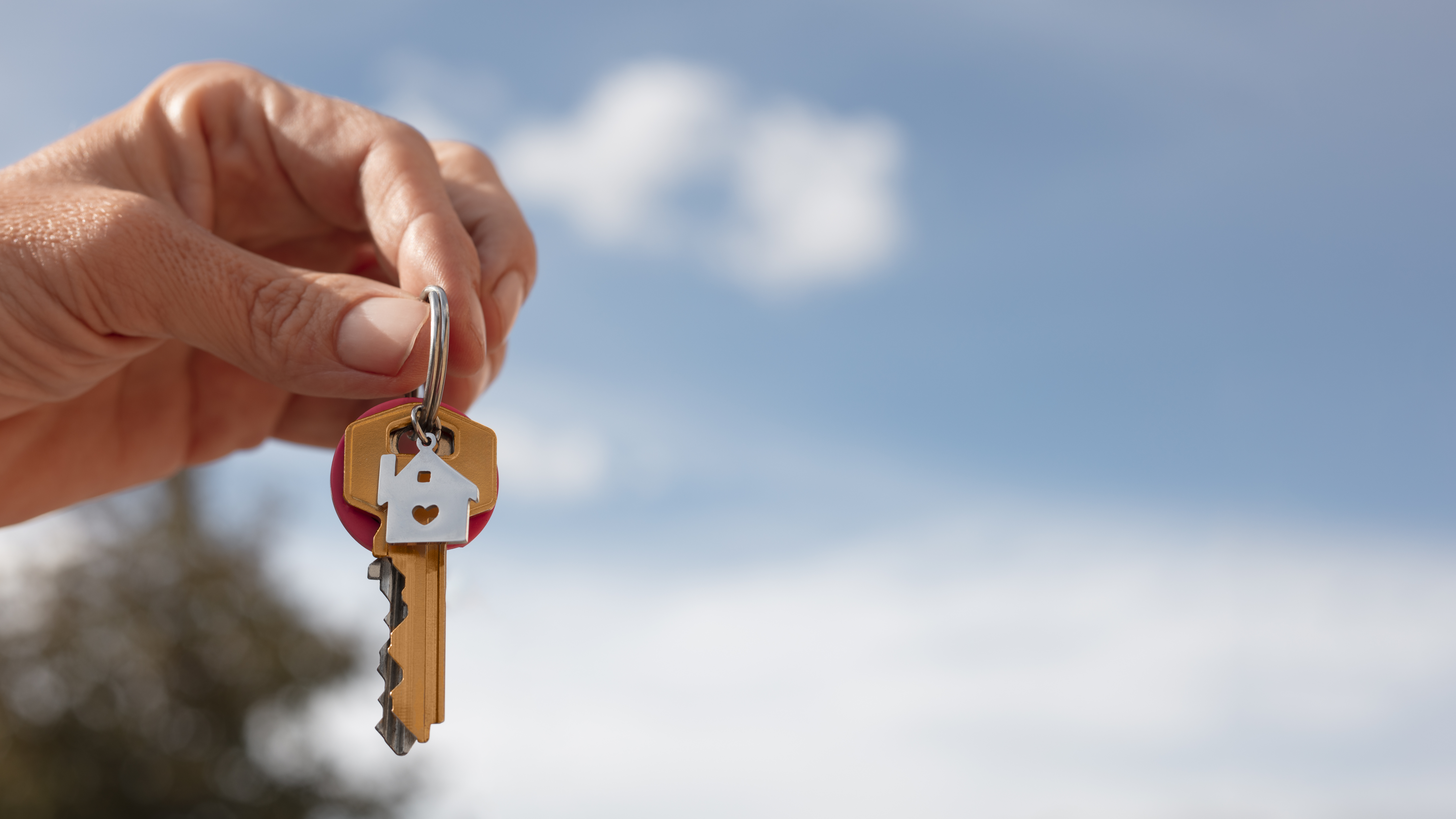 Gestion des voyageurs et communication efficace pour location courte durée