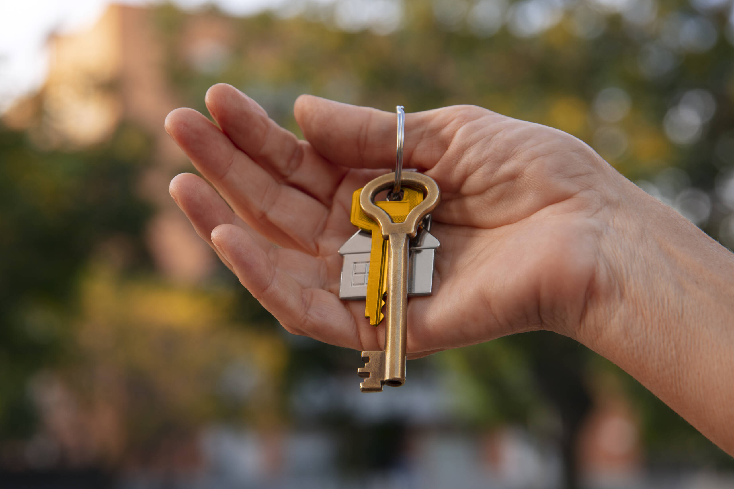 Annonce Airbnb optimisée pour location saisonnière
